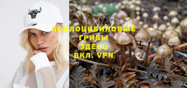 не бодяженный Армянск