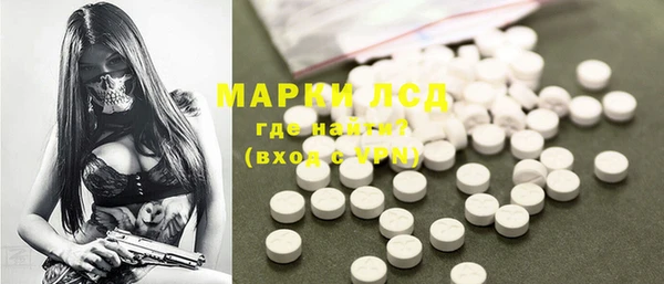 гидра Аркадак